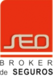 SEO Broker de Seguros